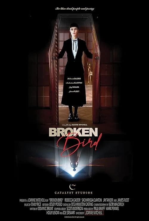 Broken Bird film posteri